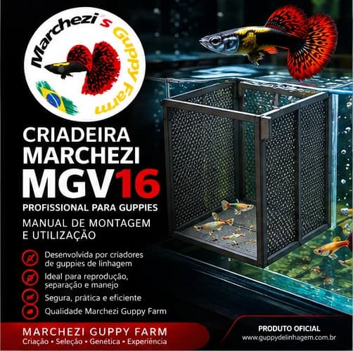 Capa do manual da Criadeira Marchezi MGV16, montada dentro do aquário com guppies