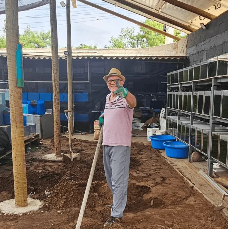 A construção da estufa nova da Marchezi Guppy Farm em Guarapari